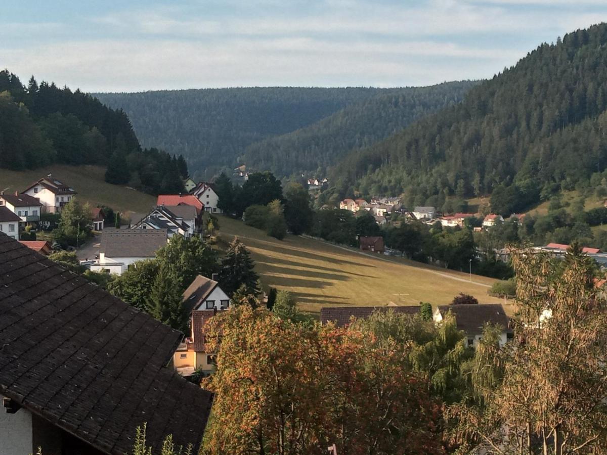 Waldblick Διαμέρισμα Baiersbronn Εξωτερικό φωτογραφία